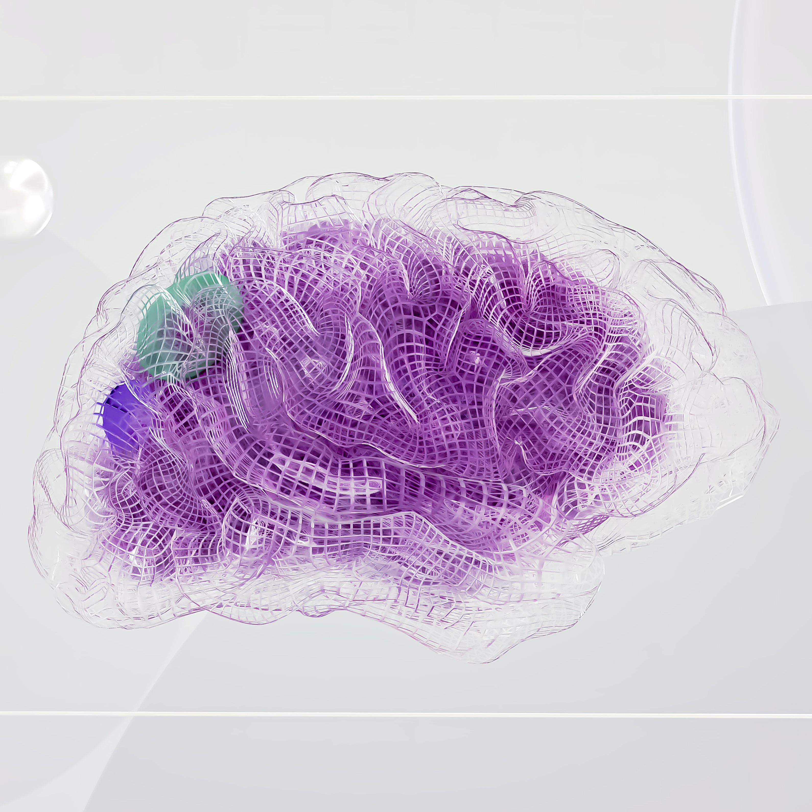 Hormones and the brain